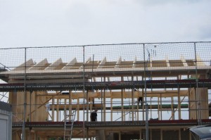 IMG_0880_v1