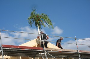 IMG_0897_1