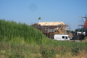 IMG_0970_v1