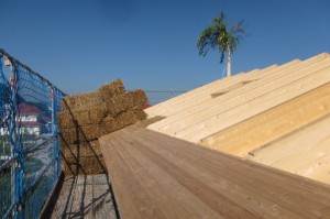 IMG_0980_v1