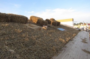 IMG_1000_v1