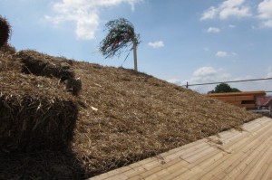 IMG_1033_v1