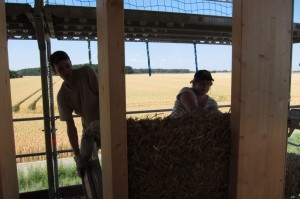 IMG_1103_v1