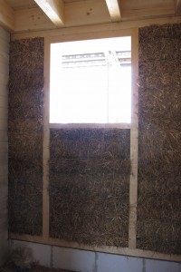 IMG_1126_v1