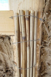 IMG_1298_v1
