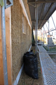 IMG_1800_1