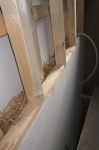 IMG_1979_1