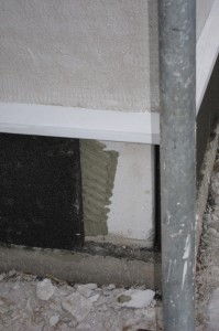 IMG_2401_1