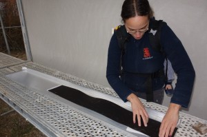 DSC00301_1