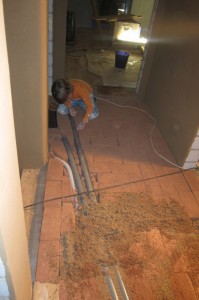 IMG_2448_1