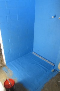 IMG_2650_1