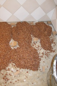 IMG_2924_1