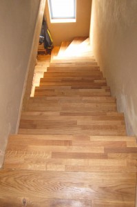 IMG_3266_1